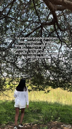 Abraza un árbol: Paz y sanación