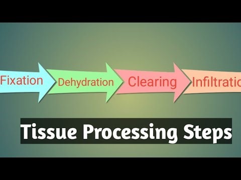 TISSUE PROCESSING/HISTOPATHOLOGY/PATHOLOGY/VIRAL VIDEO#TISSUEPROCESSING