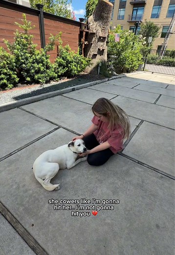 Letty the Rescue Dog Proudly Out and Adopted