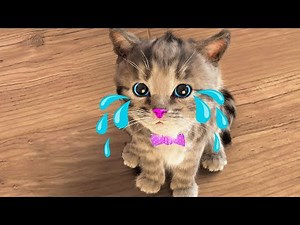 Gatinho Fofo Aventuras - Desenho Animado Novo - Episódio 4 | Special Little Kitten Adventure MEOW