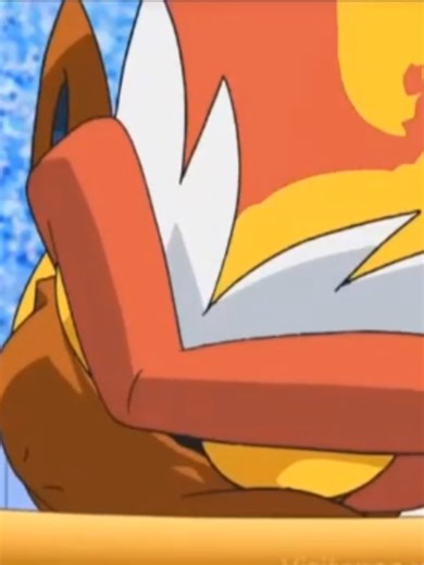 Infernape vs Electivire#Infernape #Pokemon #Momentos