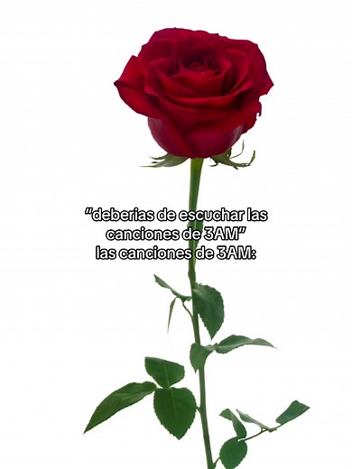 Canciones para escuchar a las 3 AM