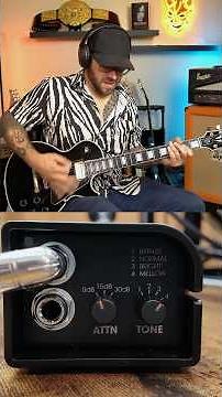 Check out the Palmer ILM Passive speaker simulation DI box. #analog #ampsim