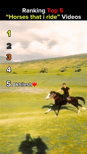 U WILL LOVE IT❤️🏇🏻 #horse #fyp #viralvideo #ranking