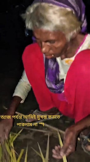 ইংরেজি Parts of Speech সহজভাবে: নাউন, অ্যাডজেক্টিভ, প্রিপোজিশন ব্যাখ্যা