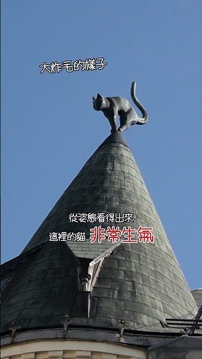 【樂透旅遊】《喵的奇幻漂流》故鄉有什麼貓奴必朝聖的景點？來看用貓貓🐈‍⬛表達抗議的拉脫維亞有趣建築 #北歐 #奧斯卡 #黑貓 #拉脫維亞 #歐洲 #波羅的海 #FLOW #雕像 #旅行 #travel