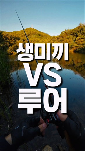 마침 내 루어 옆에 떨어진 잠자리 과연 배스의 선택은?!! #피쉬맥스 #잇세이 #베이트피네스 #issei #BFS #배스낚시 #bassfishing #バス釣り #バスフィッシング