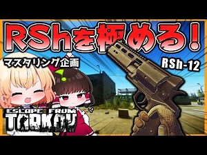 [EFT] Reload speed has skyrocketed!? The special reload motion is amazing! [Tarkov] [Slow comment...