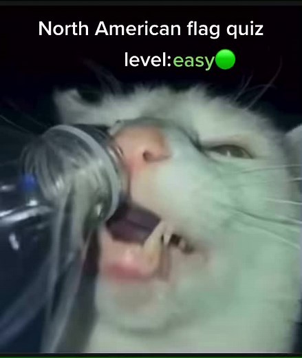 North American flag quiz level: easy