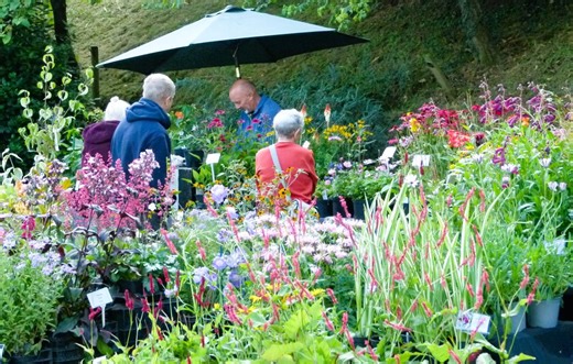 New Summer Plant Fair at Chasewater Country Park this Sunday