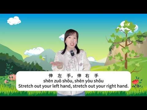 伸左手伸右手,Left Hand Right Hand | Fun Sign Language Kids Song – Ocean Animals Dance