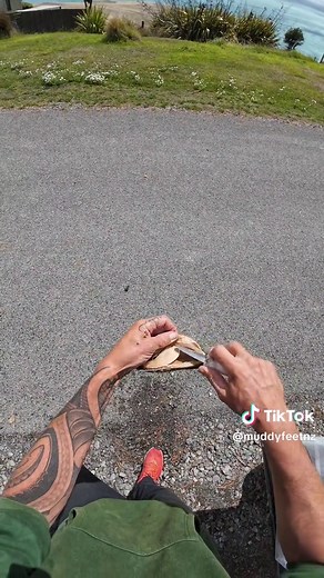 How to Open Green Lip Mussels and Recipe Guide