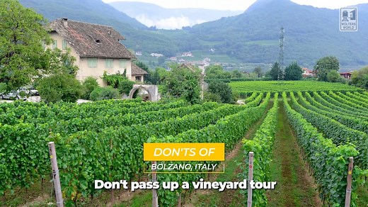 The Do's & Don'ts of Bolzano, Italy. Heading to northern Italy and wondering why it seems so much like Austria? Well we have a few things you should know before you get to Bolzano! #bolzano #tirol #sudtirol #italy #italia #visitbolzano #bosen | Wolters World