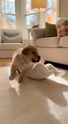 Cutest Baby and Puppy Playing Together 🐶👶 (Heart Melting Video)