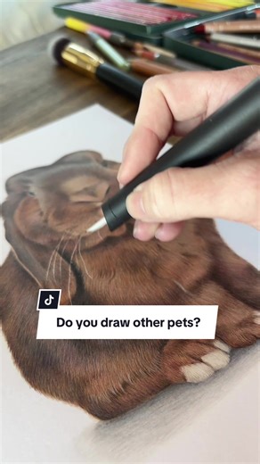 I’ve drawn a bunch of of different animals over the past few years! Cows, goats, horses, cats, dogs and rabbits. Do you have a pet that I haven’t drawn?? #bunny #rabbit #rabbitdrawing