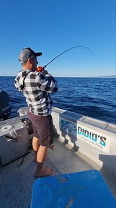 17K views · 539 reactions | Had an absolute blast using the new DOCAN jigs from Storm Fishing Australia . These jigs really surprised me on their performance and the amount of fish they caught. Using the best quality VMC Hooks these are definitely 1 lure to have in your tackle box. Rapala Lowrance Jetty Boating Yamaha Outboards Australia 13 Fishing Australia | Didio’s country 2 coast fishing | Facebook