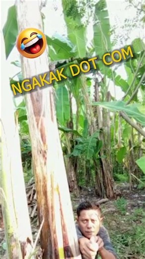 Ketapel sakti#shorts #funny #comedy #hiburan