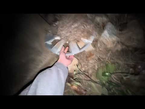 Scrapped Corolla hubcap find