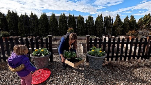 53K views · 6.4K reactions | First Spring Containers & More Flower Bed Clean Out! ✂️ https://www.gardenanswer.com | Garden Answer | Facebook
