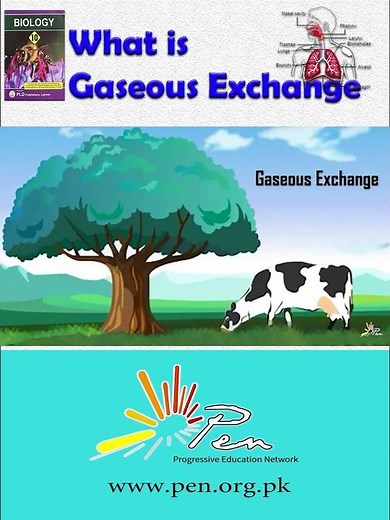What is Gaseous Exchange I learn about gaseous exchange #Biology #penacademy