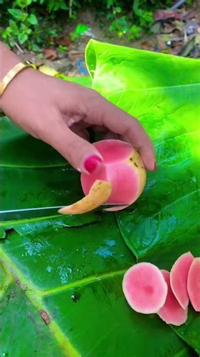 Kupas jambu getas merah #viralvideo