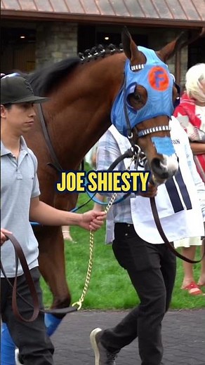 Joe Shiesty VS Troubleshooting in the MIghty Beau Stakes