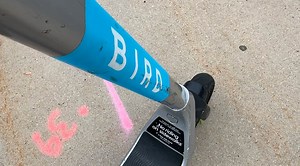 Bird scooter program entering third year in Neenah