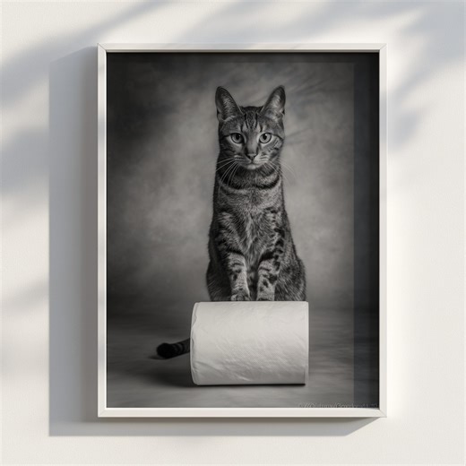 Cute Cheetoh Cat Crouching on Toilet Paper Roll | Black White Cat Photography | Studio Portrait | Digital Download | Toilet Art | Printable - Etsy