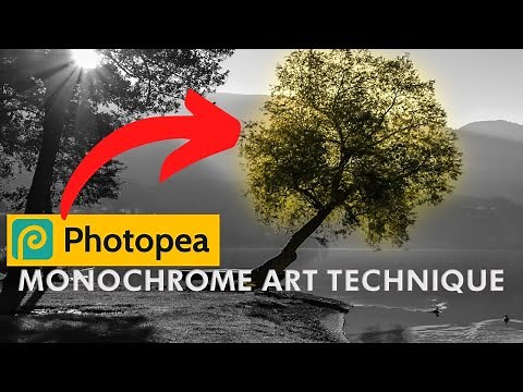PHOTOPEA: Monochrome Art Technique (Step by Step For Beginners)