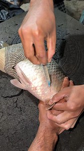 162K views · 1.1K reactions | American Crap Fish Injection #reels | Extreme Fish World | Facebook