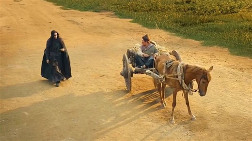 “我用一百两买你的马车和酒，怎么样？” “好啊，先掏钱！”一口气看完高分电影《三少爷的剑》！