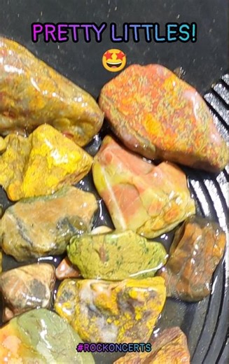 #rockoncerts - Russian River Littles 🤗 #jasper #gemstone #bowlofjoy #northerncalifornia #riverrocks
