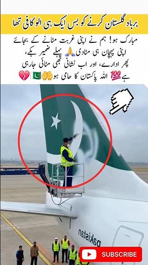 Business Over Identity, The Final Paint Pia airlines✈️ #trending #airlines #aviation #airport#shorts