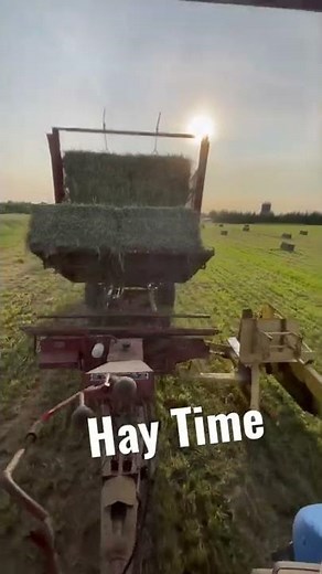 Stacking Hay with a New Holland 1036 Stackliner