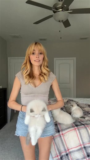 407K views · 30K reactions | Ragdoll test for the Q and R litters. Watch till the end to see if Penny passes the Ragdoll test | Pearl's Ragdolls | Facebook
