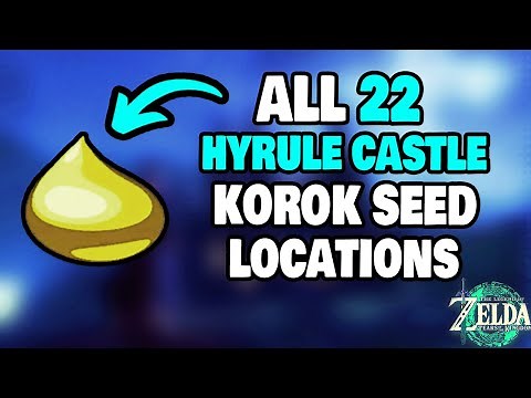 ALL 22 Hyrule Castle Korok Seed Locations in Zelda Tears of the Kingdom (STEP-BY-STEP)