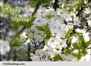 Pretty Spring Blooms!