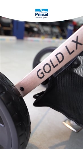 🩷Carriola Gold LX ideal para la comodidad y estilo de tu bebe 👶🍼 Con asiento reclinable y un mecanismo fácil de accionar para tu comodidad. Descubre más en https://www.prinsel.com.mx/ 👈🏼 #prinsel #carriola #goldlx #carriolas #productosprinsel | Prinsel