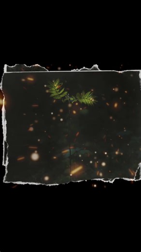 Mastering Light and Shadows: A Mobile Photography Journey