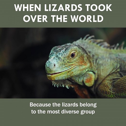 When Lizards Took Over the World | Eons • PBS