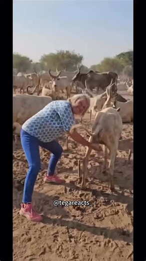 LCsign Tony on Instagram: "Slim led sign👏😍😍 #ledsign #ledlights #ledfactory #hotel ##supermarket #park #restaurant #tourism #lcsign #us #reels #funnymemes #funnyvideo #business"