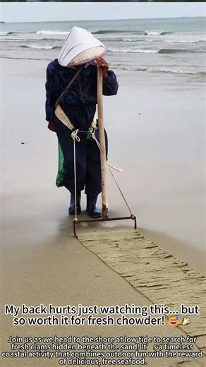 Clam Digging Adventure! 🌊🐚