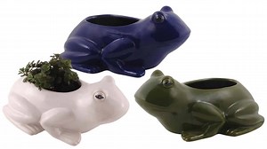 NEW - Glazed Ceramic Frog Planters and Fish Bud Vases, just in time for Spring! We also have Glazed Ceramic Bikini Pots and Antique Finish Crackle Pots, all great for holding and displaying plants. Available in a variety of colors. Prices range from $5-$8. | Southeastern Salvage Home Emporium | Facebook