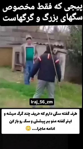 ‎ایرج عظیمی‎ | ‎#سگ#گرگ#گرگاس#گربه#حیوانات#شکار#جالب #animal #dog#wolf#wolvsdog#wolfsdog‎ | Instagram