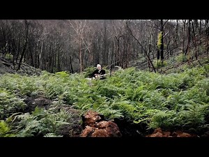 Atlas Genius - Great Southern Land (On My Own Series)