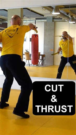 CUT & THRUST ⚔️ 🗡️- Wing Chun Double Swords #shorts #martialarts #kungfu