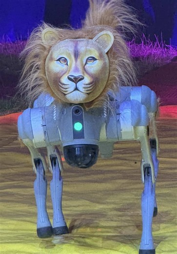 Poroto y su amigo Ion, el león robot