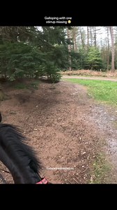 I came from a different direction in the hope she wouldn’t realise where we were… she’s far too smart 🤣 | EndurancewithDarcey