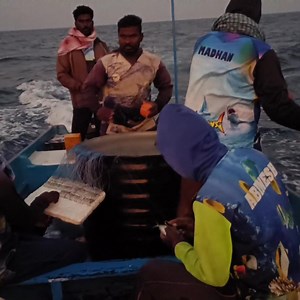 305K views · 1.9K reactions | Wow! A full-length scene of a day and night spent catching huge fish in the deep sea. | Shark Boys Fishing | Facebook