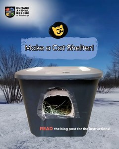 Harsh Weather Safety Ideas for your Community Cats! Cold, always changing weather can be dangerous for cats living outdoors, but a few simple actions can make a life-saving difference. Here are three easy ways to help keep community cats safe this in this harsh weather: 🚗 When it's cold out- knock on your hood before starting your car Cats can climb up into warm engine compartments from underneath. A quick knock or tap gives them a chance to jump out safely. 🏠 Provide a harsh weather shelter A